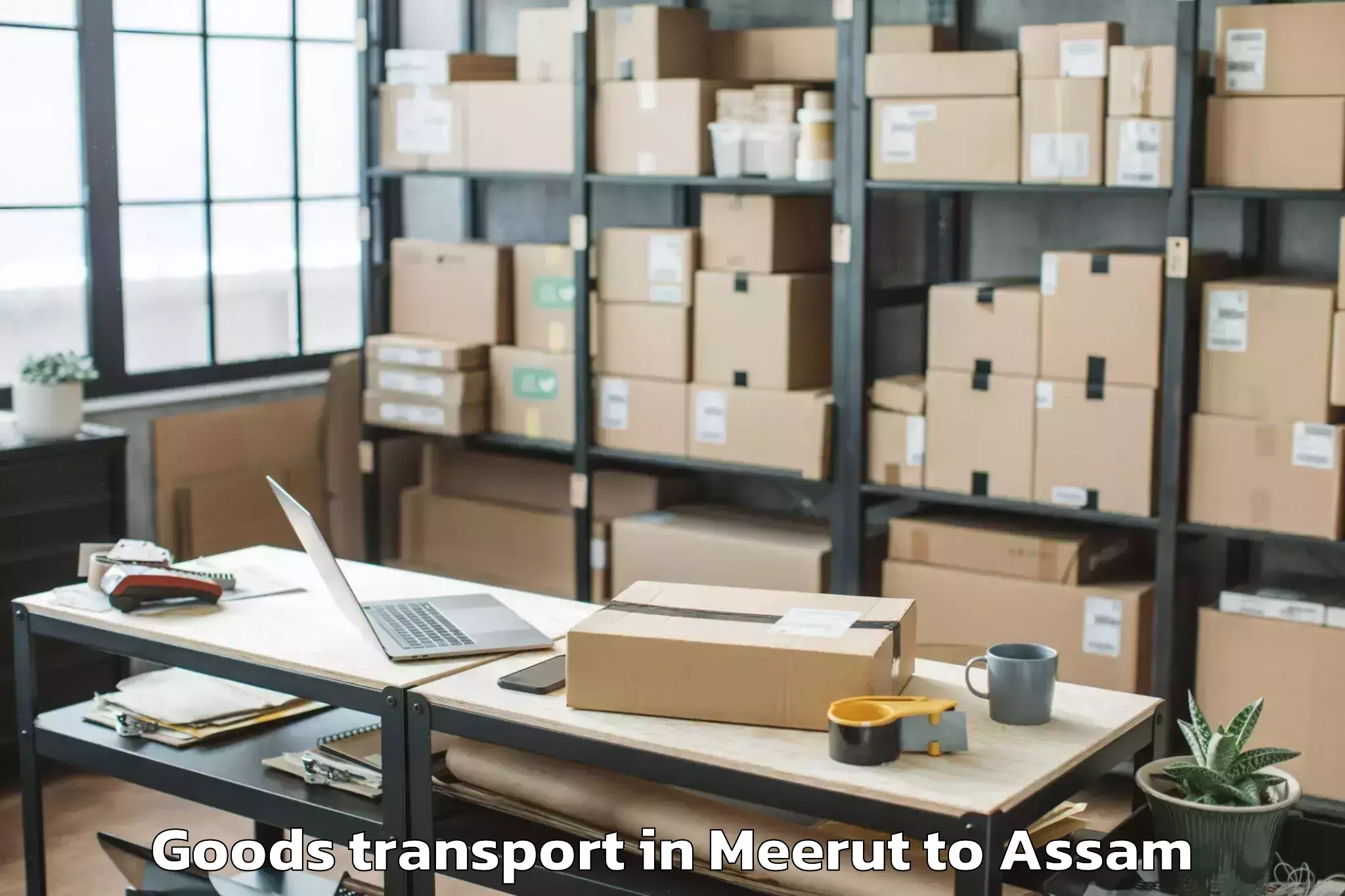 Expert Meerut to Badarpur Karimganj Goods Transport